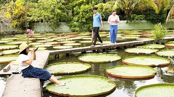 Thử đứng trên lá sen to nhất thế giới