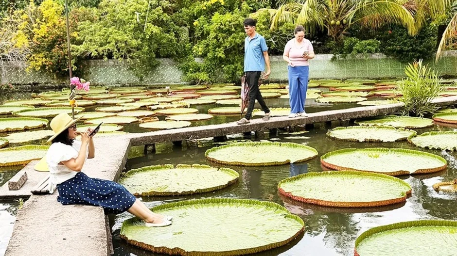 Thử đứng trên lá sen to nhất thế giới