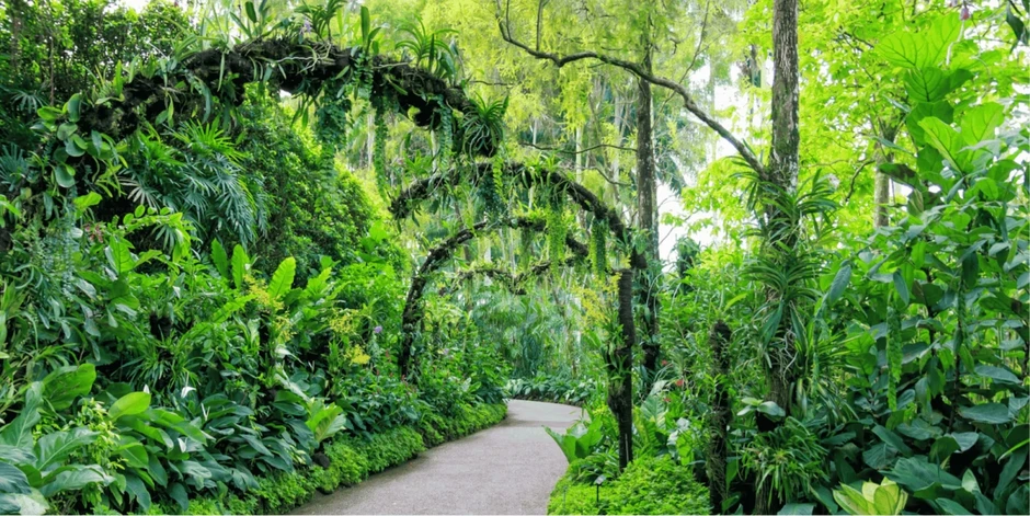 Trải nghiệm du lịch Singapore bằng các tuyến tàu điện như dân bản địa Trải nghiệm du lịch Singapore bằng các tuyến tàu điện như dân bản địa