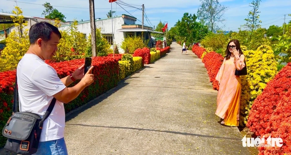 Về Đồng Tháp ngày Tết ngắm đường mai và hàng bông trang bừng nở rực rỡ Về Đồng Tháp ngày Tết ngắm đường mai và hàng bông trang bừng nở rực rỡ