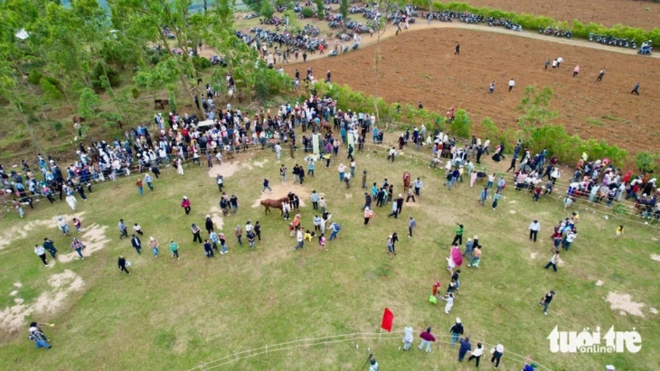 Về gò Thì Thùng xem đua ngựa, kỵ sĩ té chổng vó ngựa hí vang trời