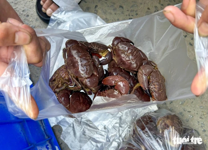 Về làng chài cổ Nam Ô mùa đẹp nhất: Ngắm bãi rêu xanh, săn cua cù kỳ Về làng chài cổ Nam Ô mùa đẹp nhất: Ngắm bãi rêu xanh, săn cua cù kỳ