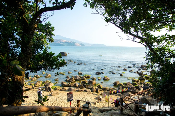 Về làng chài cổ Nam Ô mùa đẹp nhất: Ngắm bãi rêu xanh, săn cua cù kỳ Về làng chài cổ Nam Ô mùa đẹp nhất: Ngắm bãi rêu xanh, săn cua cù kỳ