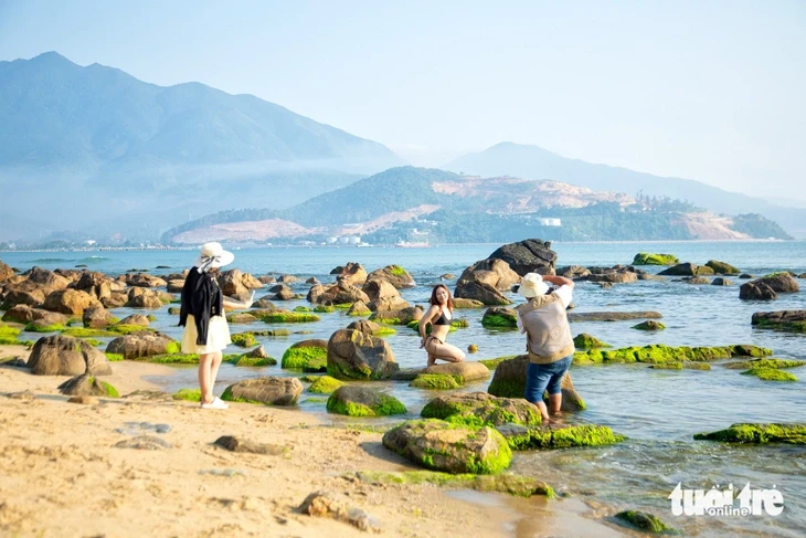 Về làng chài cổ Nam Ô mùa đẹp nhất: Ngắm bãi rêu xanh, săn cua cù kỳ Về làng chài cổ Nam Ô mùa đẹp nhất: Ngắm bãi rêu xanh, săn cua cù kỳ