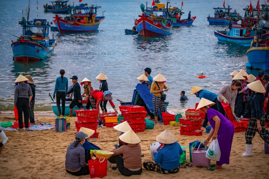 Việt Nam có làng chài bán loại mực chết là mất giá, nửa triệu đồng một kg mà người dân vẫn vô tư ăn với mì tôm