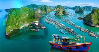 Việt Nam có làng chài lâu hơn kim tự tháp Ai Cập hơn 2.000 năm