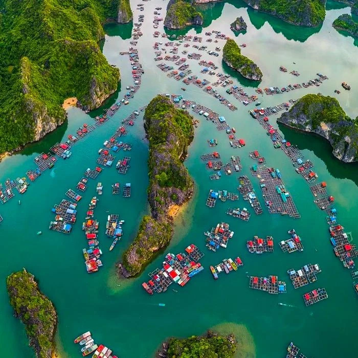 Việt Nam có làng chài lâu hơn kim tự tháp Ai Cập hơn 2.000 năm Việt Nam có làng chài lâu hơn kim tự tháp Ai Cập hơn 2.000 năm
