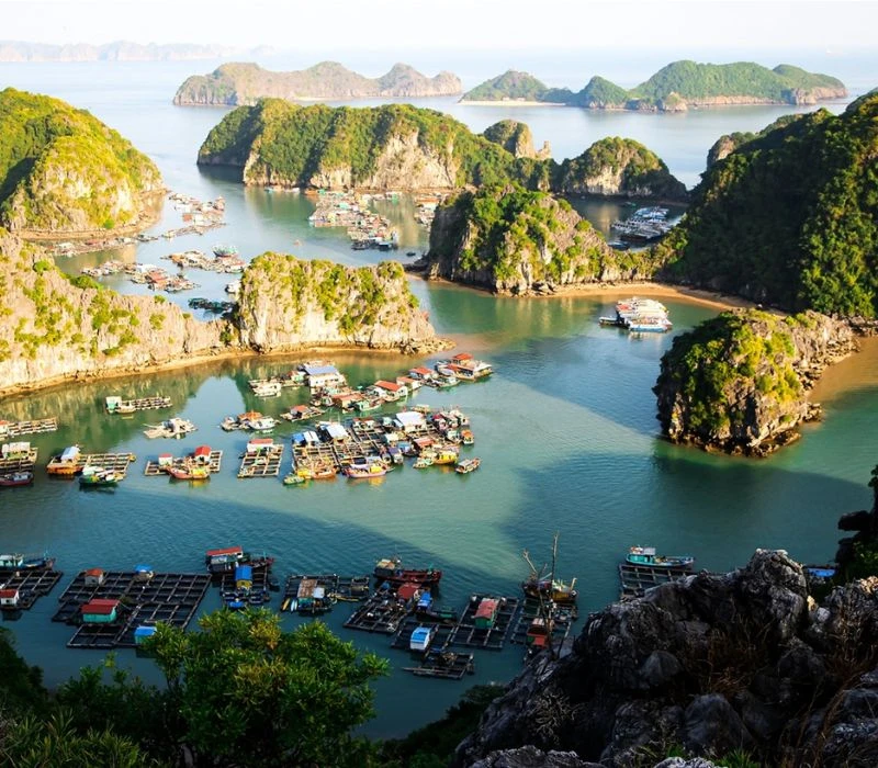Việt Nam có làng chài lâu hơn kim tự tháp Ai Cập hơn 2.000 năm Việt Nam có làng chài lâu hơn kim tự tháp Ai Cập hơn 2.000 năm