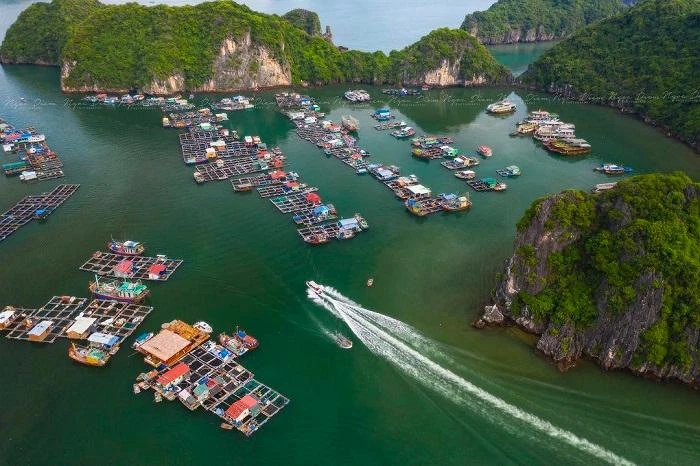 Việt Nam có làng chài lâu hơn kim tự tháp Ai Cập hơn 2.000 năm Việt Nam có làng chài lâu hơn kim tự tháp Ai Cập hơn 2.000 năm