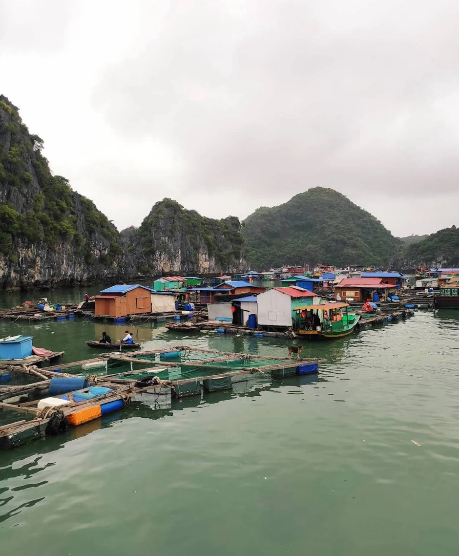 Việt Nam có làng chài lâu hơn kim tự tháp Ai Cập hơn 2.000 năm Việt Nam có làng chài lâu hơn kim tự tháp Ai Cập hơn 2.000 năm