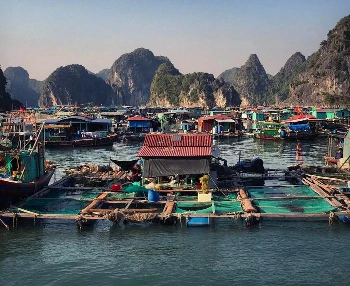 Việt Nam có làng chài lâu hơn kim tự tháp Ai Cập hơn 2.000 năm Việt Nam có làng chài lâu hơn kim tự tháp Ai Cập hơn 2.000 năm
