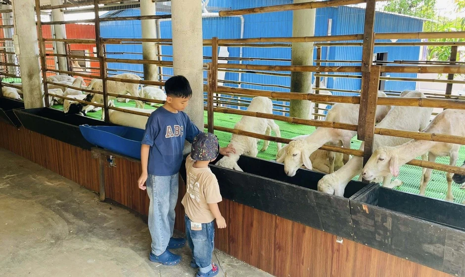 Vũng Tàu kín phòng cuối tuần, gia đình 10 người gọi "cháy máy" không có chỗ Vũng Tàu kín phòng cuối tuần, gia đình 10 người gọi "cháy máy" không có chỗ