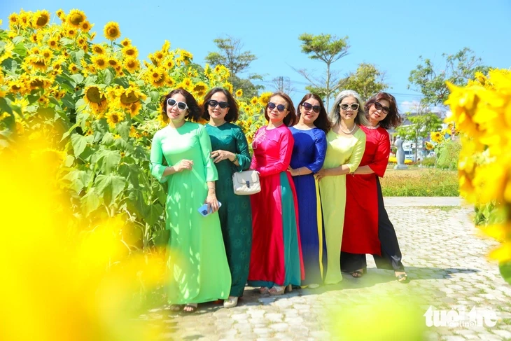 Vườn hướng dương dưới chân núi Ngũ Hành Sơn nở rộ, hút khách tham quan Vườn hướng dương dưới chân núi Ngũ Hành Sơn nở rộ, hút khách tham quan