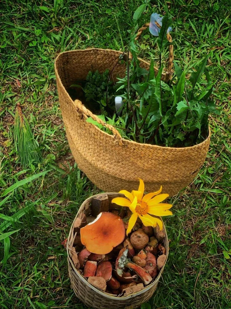 Y học cổ truyền mở hướng phát triển cho du lịch y tế Việt Nam Y học cổ truyền mở hướng phát triển cho du lịch y tế Việt Nam