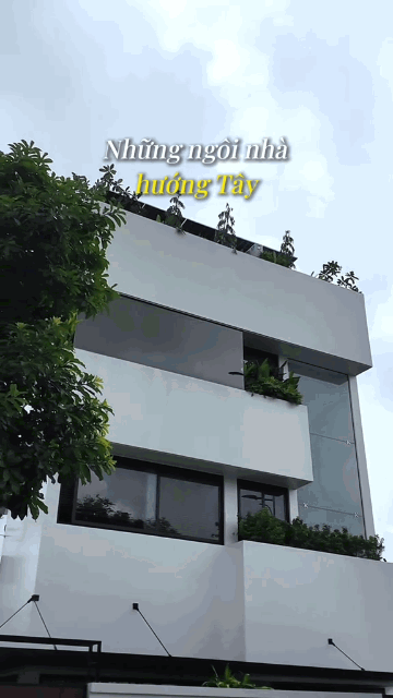 Ca sĩ quê Ninh Bình cưới con gái đại gia miền Tây: Xây biệt thự 500m² đẹp như resort, vợ vẫn chê 5 thứ Ca sĩ quê Ninh Bình cưới con gái đại gia miền Tây: Xây biệt thự 500m² đẹp như resort, vợ vẫn chê 5 thứ
