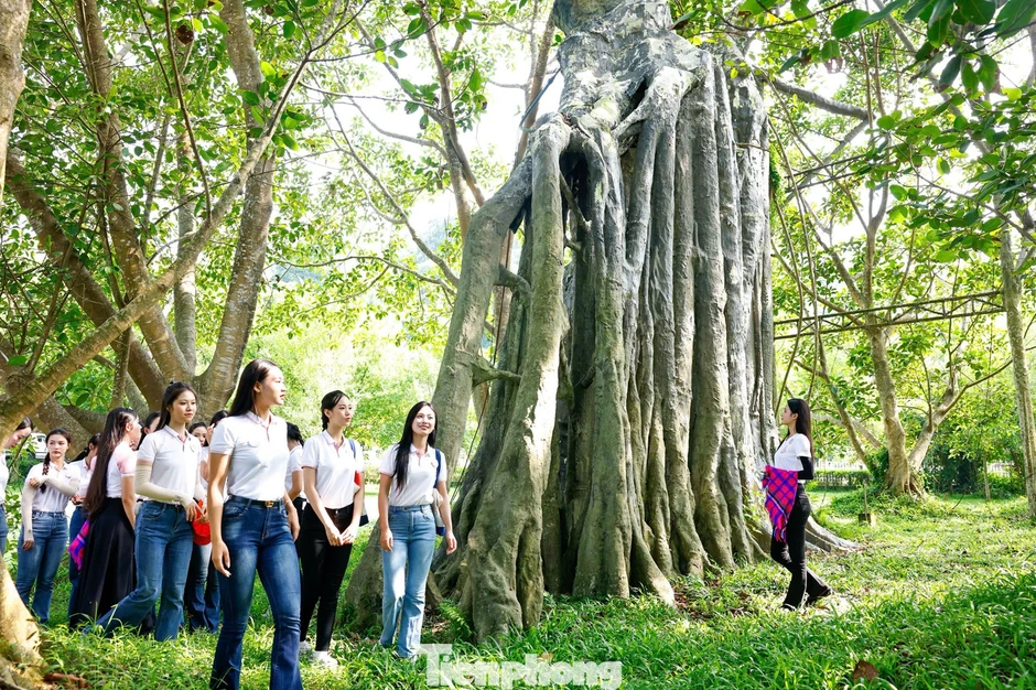 Các cô gái Hoa hậu Việt Nam nghe chuyện xưa dưới bóng đa Tân Trào Các cô gái Hoa hậu Việt Nam nghe chuyện xưa dưới bóng đa Tân Trào