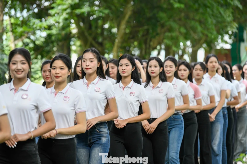 Các cô gái Hoa hậu Việt Nam nghe chuyện xưa dưới bóng đa Tân Trào Các cô gái Hoa hậu Việt Nam nghe chuyện xưa dưới bóng đa Tân Trào
