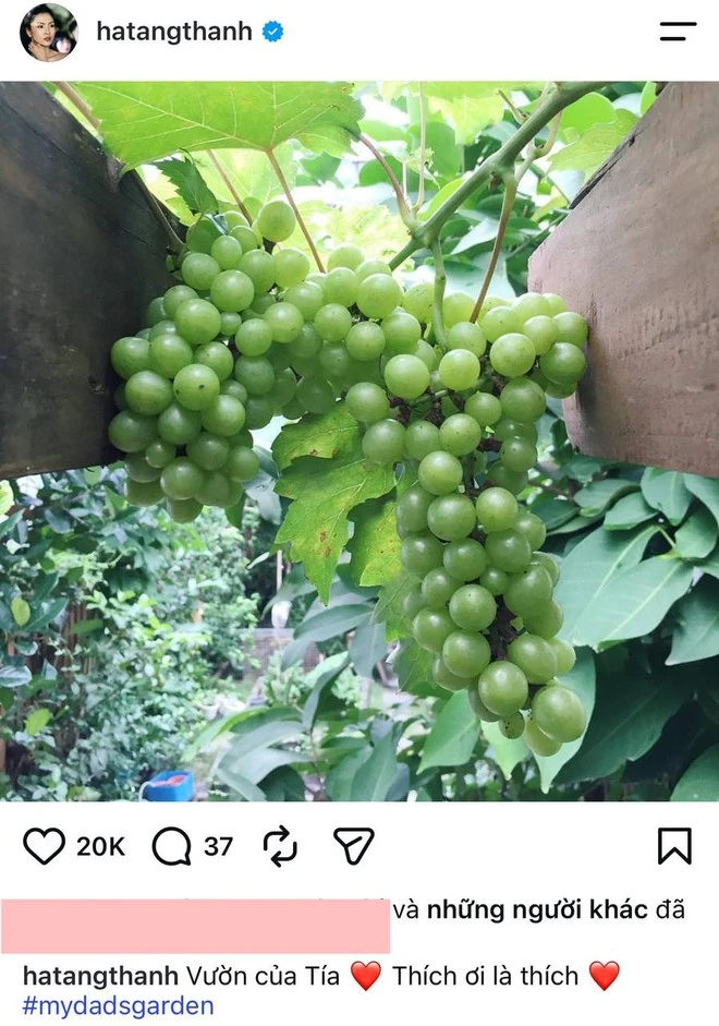 Căn nhà của bố mẹ ruột Tăng Thanh Hà Căn nhà của bố mẹ ruột Tăng Thanh Hà