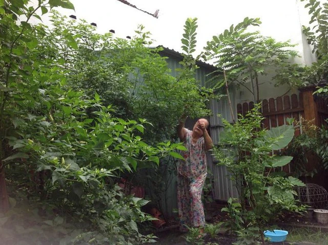Căn nhà của bố mẹ ruột Tăng Thanh Hà Căn nhà của bố mẹ ruột Tăng Thanh Hà