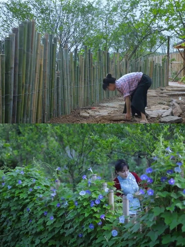 Căn nhà ở quê của Lý Tử Thất Căn nhà ở quê của Lý Tử Thất