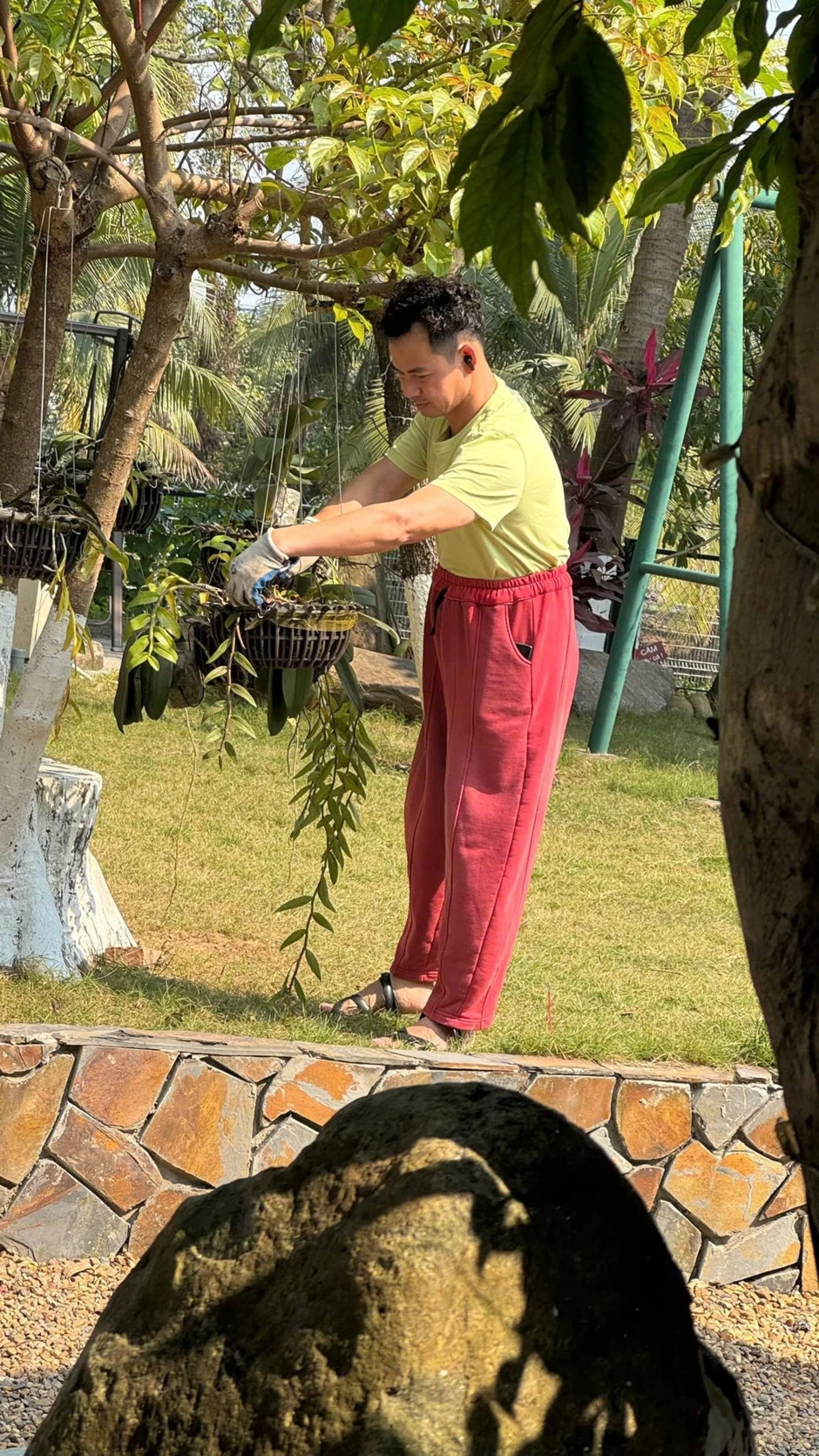 Cây mít nổi tiếng nhất Việt Nam khiến Cục trưởng Xuân Bắc phải đi làm cả cuối tuần để... canh chừng! Cây mít nổi tiếng nhất Việt Nam khiến Cục trưởng Xuân Bắc phải đi làm cả cuối tuần để... canh chừng!
