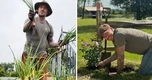Cuộc sống thảnh thơi nuôi gà, chăm cây của tỷ phú David Beckham