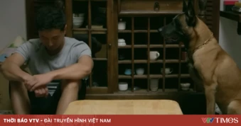 Đồng hồ đếm ngược - Tập 17: Linh Chi đi hẹn hò với người khác, Thành sốt ruột