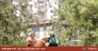 Đồng hồ đếm ngược - Tập 20: Thành dành thời gian cuối bên những người yêu thương