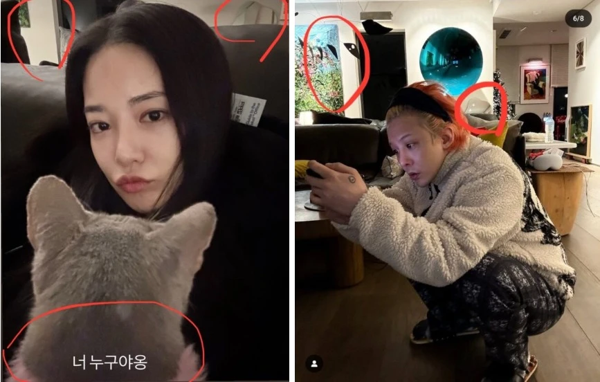 G-Dragon bị nữ diễn viên bốc lửa nhất nhì showbiz “đá” phũ phàng vì lý do bất ngờ? G-Dragon bị nữ diễn viên bốc lửa nhất nhì showbiz “đá” phũ phàng vì lý do bất ngờ?