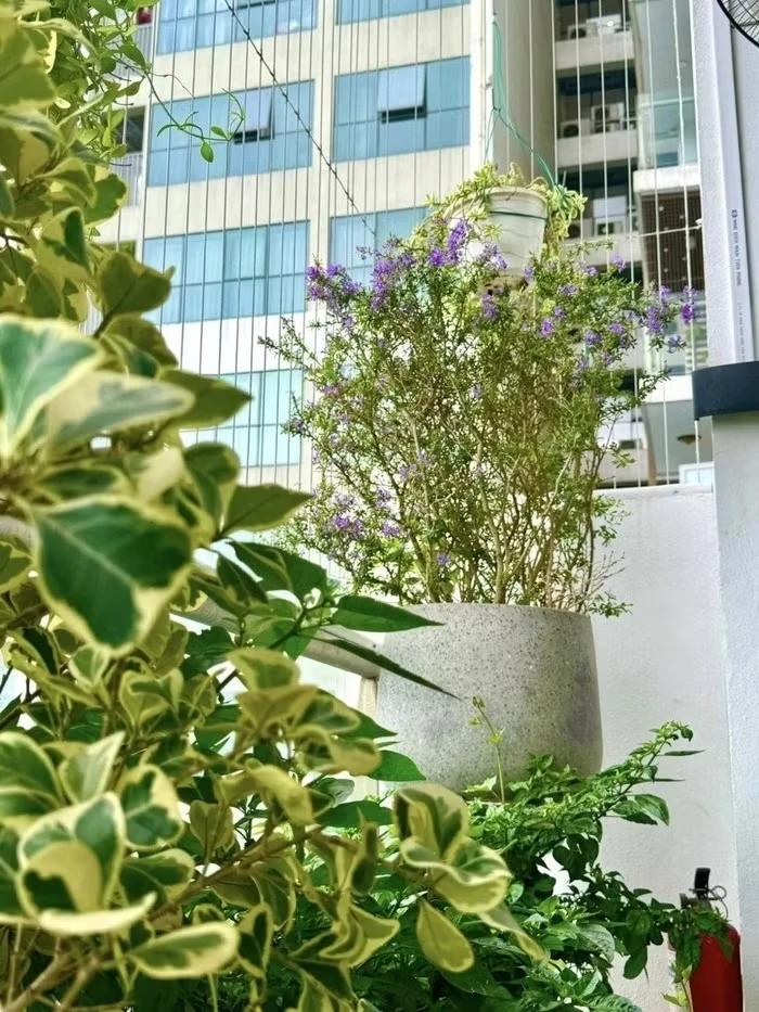 Giám đốc có học vị Tiến sĩ từng có quá khứ mưu sinh nhọc nhằn ít ai biết: Hiện tại sống trong căn hộ cao cấp ở Hà Nội