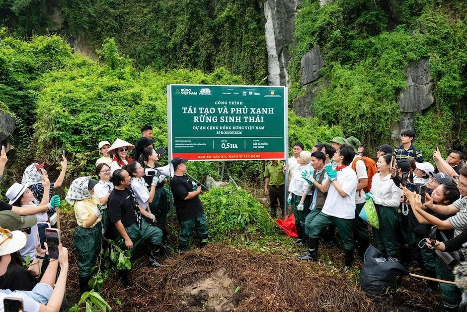 Hà Anh Tuấn, Bùi Công Nam, Phùng Khánh Linh và khán giả Forestival 2026 tham gia trồng rừng ở Ninh Bình Hà Anh Tuấn, Bùi Công Nam, Phùng Khánh Linh và khán giả Forestival 2026 tham gia trồng rừng ở Ninh Bình