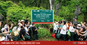 Hà Anh Tuấn, Bùi Công Nam, Phùng Khánh Linh và khán giả Forestival 2026 tham gia trồng rừng ở Ninh Bình