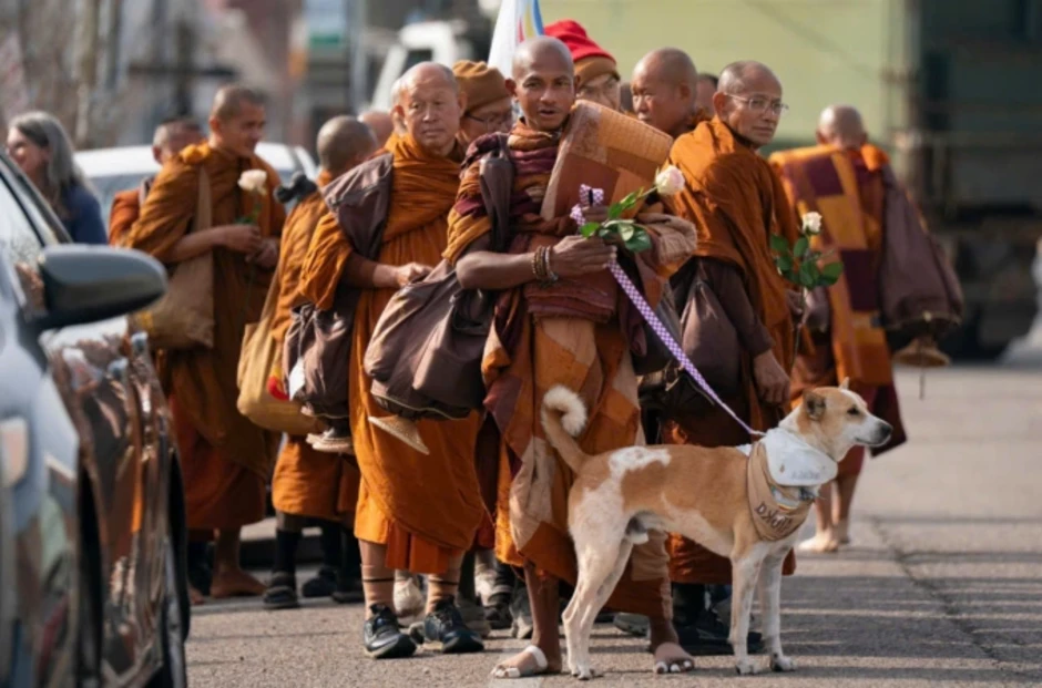 'Hachiko, chú chó đợi chờ' - khúc ca về lòng trung thành 'Hachiko, chú chó đợi chờ' - khúc ca về lòng trung thành