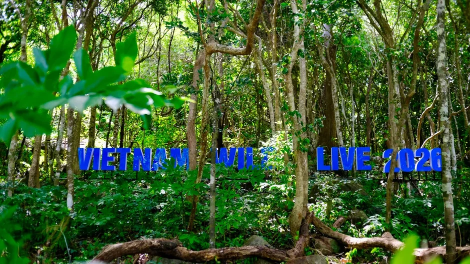 Hậu trường Vietnam Wild Live by VTV trước giờ lên sóng trực tiếp Hậu trường Vietnam Wild Live by VTV trước giờ lên sóng trực tiếp