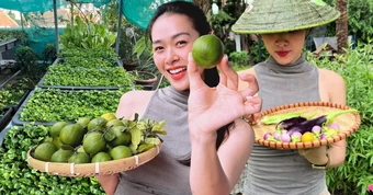 Khu vườn ngập trái cây trong căn nhà phố rộng 100m2 của Diệp Bảo Ngọc