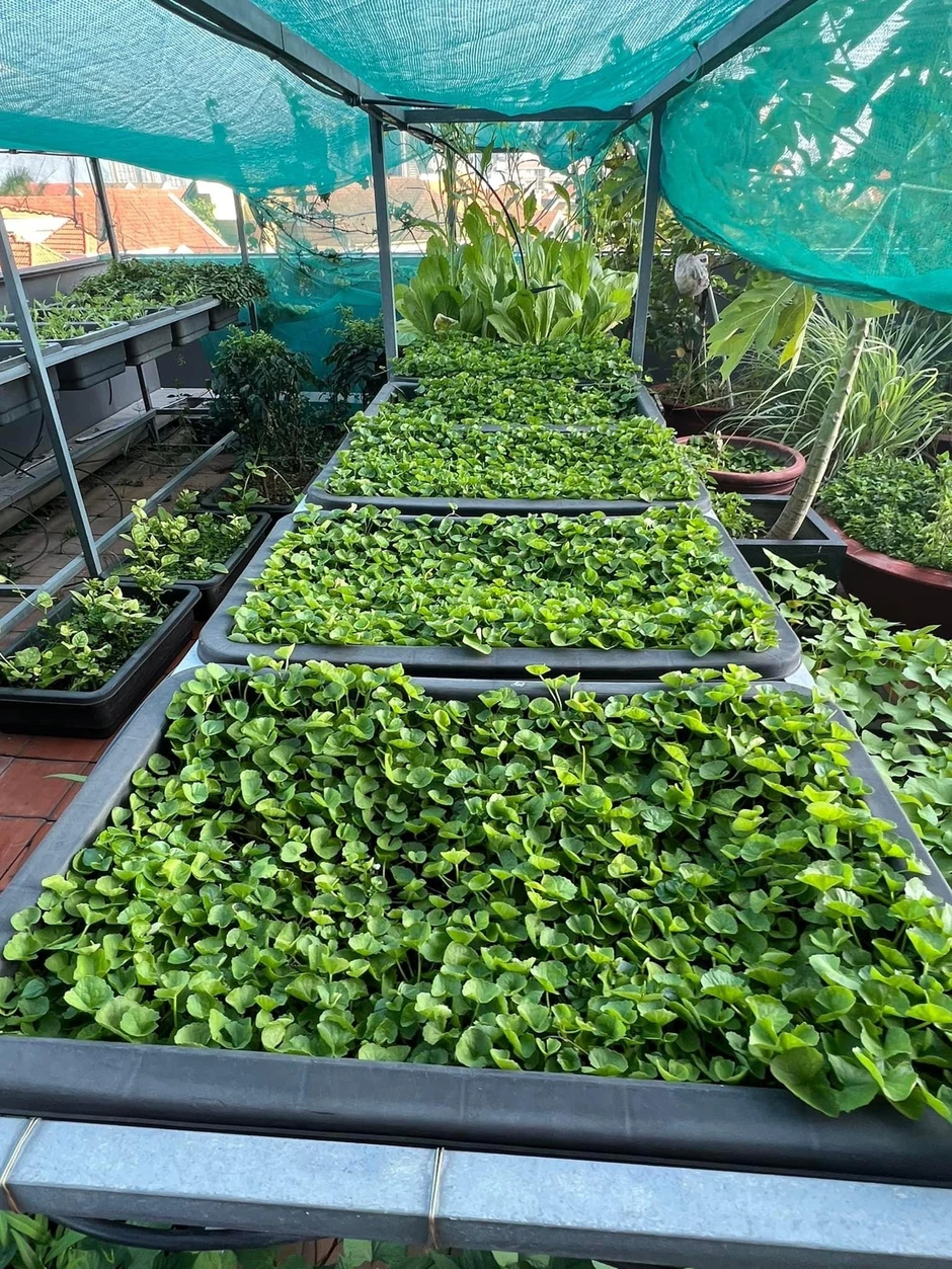 Mỹ nhân Việt 33 tuổi làm mẹ đơn thân, sống cùng con trai trong ngôi nhà phố 100m² Mỹ nhân Việt 33 tuổi làm mẹ đơn thân, sống cùng con trai trong ngôi nhà phố 100m²