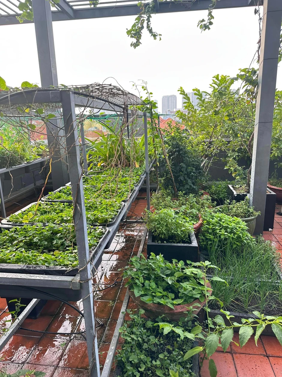 Mỹ nhân Việt 33 tuổi làm mẹ đơn thân, sống cùng con trai trong ngôi nhà phố 100m² Mỹ nhân Việt 33 tuổi làm mẹ đơn thân, sống cùng con trai trong ngôi nhà phố 100m²