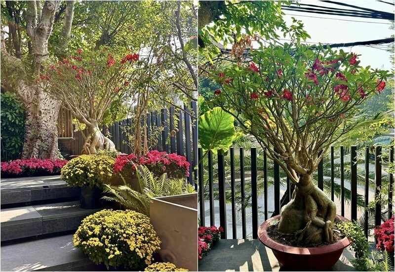 Mỹ nhân Việt 33 tuổi làm mẹ đơn thân, sống cùng con trai trong ngôi nhà phố 100m² Mỹ nhân Việt 33 tuổi làm mẹ đơn thân, sống cùng con trai trong ngôi nhà phố 100m²