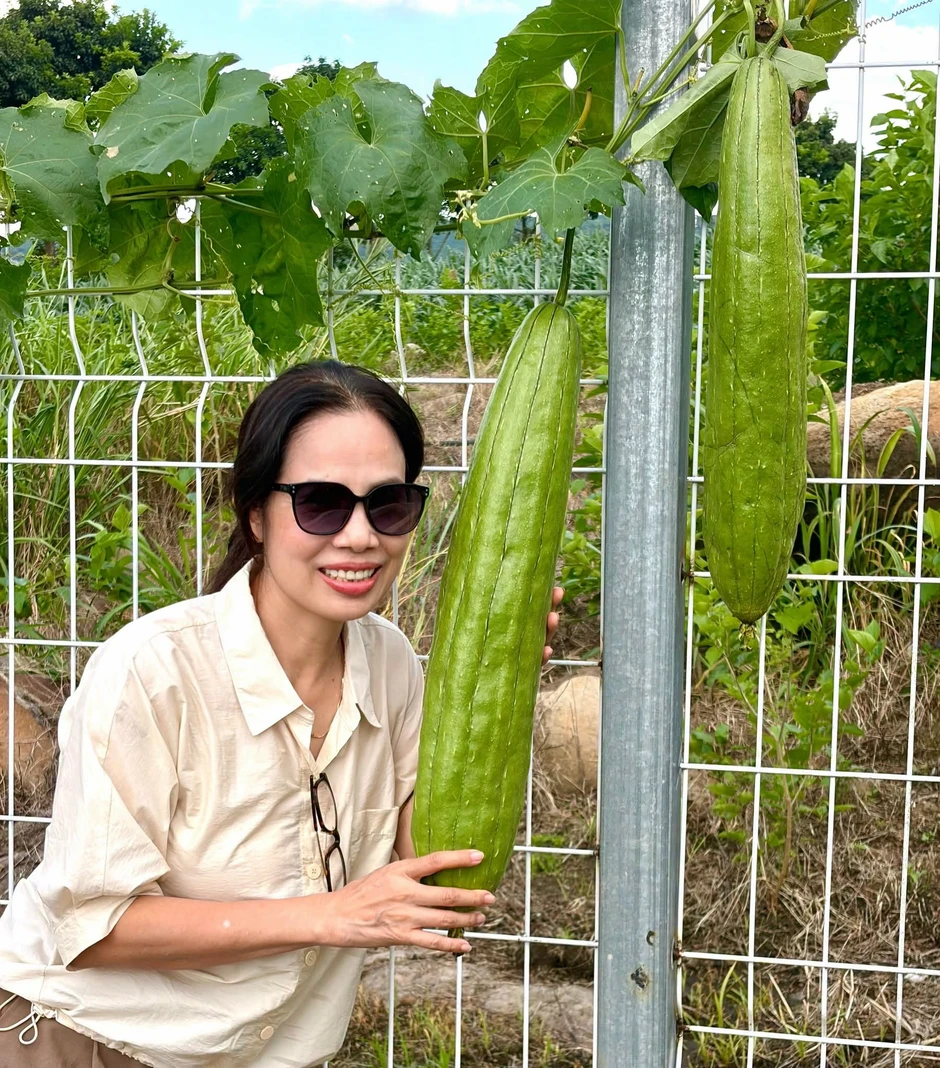 Mẹ Á hậu 2 Miss Universe Vietnam 2026 có khu vườn gần 1.000m² ở Lâm Đồng, trồng đủ rau trái, sống chill