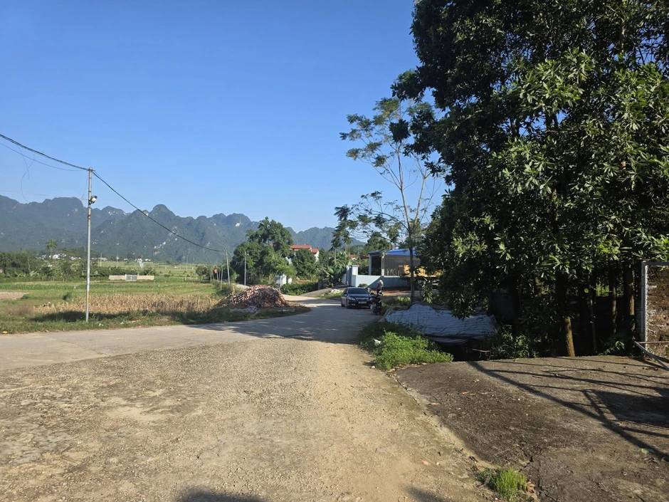 Nam nghệ sĩ, Phó giám đốc Trung tâm Điện ảnh Văn hóa, Thể thao và Du lịch rao bán đất gần 200m2 Nam nghệ sĩ, Phó giám đốc Trung tâm Điện ảnh Văn hóa, Thể thao và Du lịch rao bán đất gần 200m2