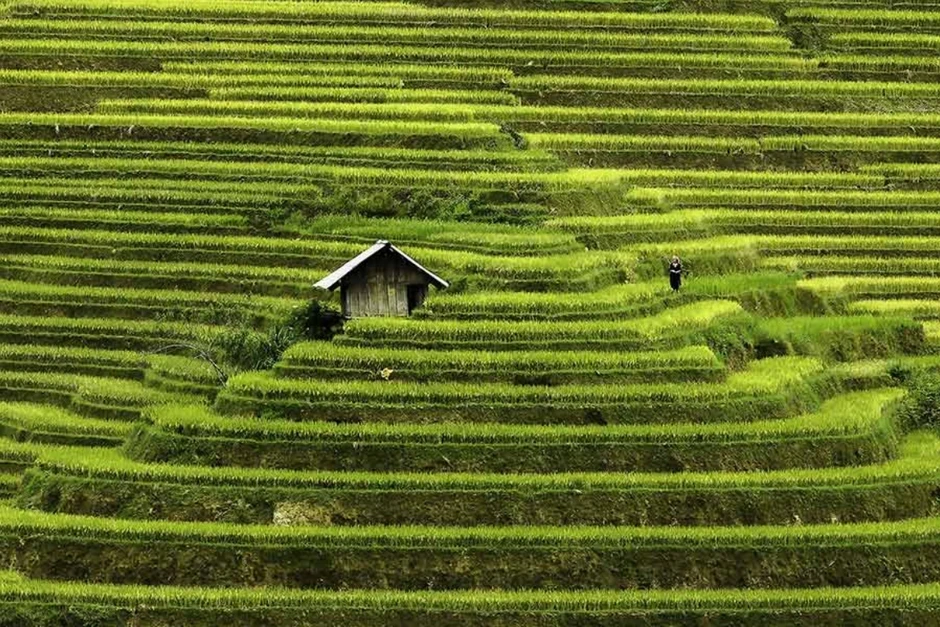 Nhiếp ảnh gia Pháp kể những 'lát cắt dịu dàng' của phụ nữ Mù Cang Chải Nhiếp ảnh gia Pháp kể những 'lát cắt dịu dàng' của phụ nữ Mù Cang Chải