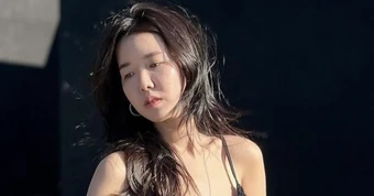 Nhiều nghệ sĩ phải xin lỗi