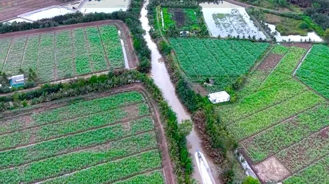 Nông dân số (VTV10): Lan tỏa giá trị bền vững cho nông nghiệp hiện đại Nông dân số (VTV10): Lan tỏa giá trị bền vững cho nông nghiệp hiện đại