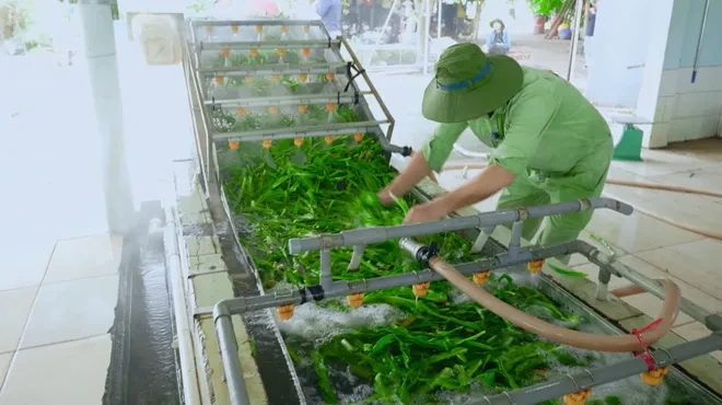 Nông dân số (VTV10): Lan tỏa giá trị bền vững cho nông nghiệp hiện đại Nông dân số (VTV10): Lan tỏa giá trị bền vững cho nông nghiệp hiện đại