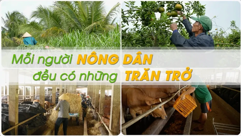 Nông dân số (VTV10): Lan tỏa giá trị bền vững cho nông nghiệp hiện đại Nông dân số (VTV10): Lan tỏa giá trị bền vững cho nông nghiệp hiện đại