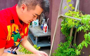 Nữ nghệ sĩ đình đám đi bán bánh ở đường Vĩnh Viễn, TP.HCM Nữ nghệ sĩ đình đám đi bán bánh ở đường Vĩnh Viễn, TP.HCM