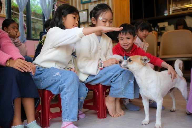 Ô cửa sách ở Đà Lạt của những nhà văn nhí Ô cửa sách ở Đà Lạt của những nhà văn nhí