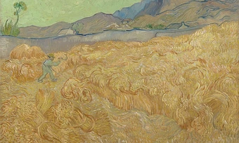 Sắc vàng trong tranh Van Gogh