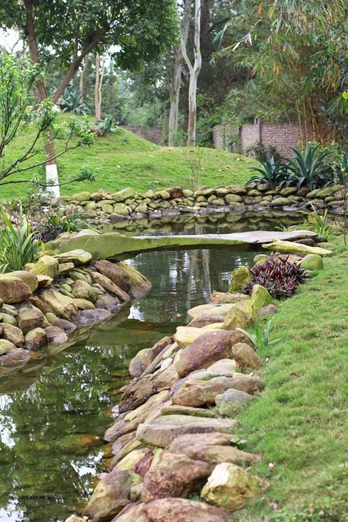 Sao hạng A từng là thủ khoa Nhạc viện, ở biệt phủ nhà vườn rộng 1,2 hécta tựa chốn bồng lai Sao hạng A từng là thủ khoa Nhạc viện, ở biệt phủ nhà vườn rộng 1,2 hécta tựa chốn bồng lai