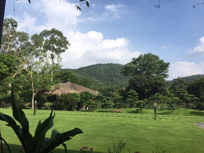 Sao hạng A từng là thủ khoa Nhạc viện, ở biệt phủ nhà vườn rộng 1,2 hécta tựa chốn bồng lai Sao hạng A từng là thủ khoa Nhạc viện, ở biệt phủ nhà vườn rộng 1,2 hécta tựa chốn bồng lai